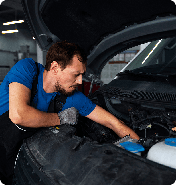 Professional Mechanic Inspection