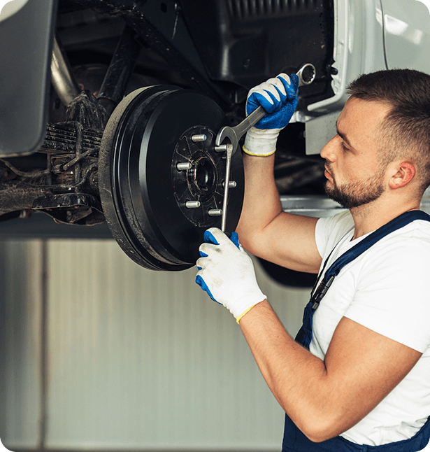 Professional Mechanic Inspection
