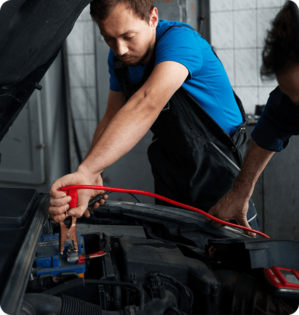Professional Mechanic Inspection