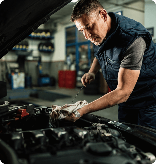 Professional Mechanic Inspection