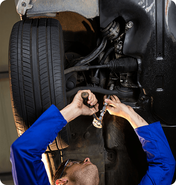 Professional Mechanic Inspection